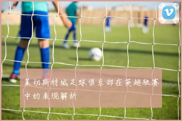 莱切斯特城足球俱乐部在英超联赛中的表现解析