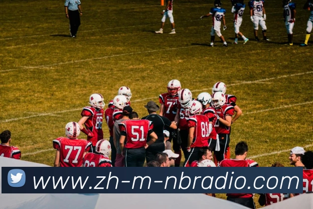 纬来体育平台生态图