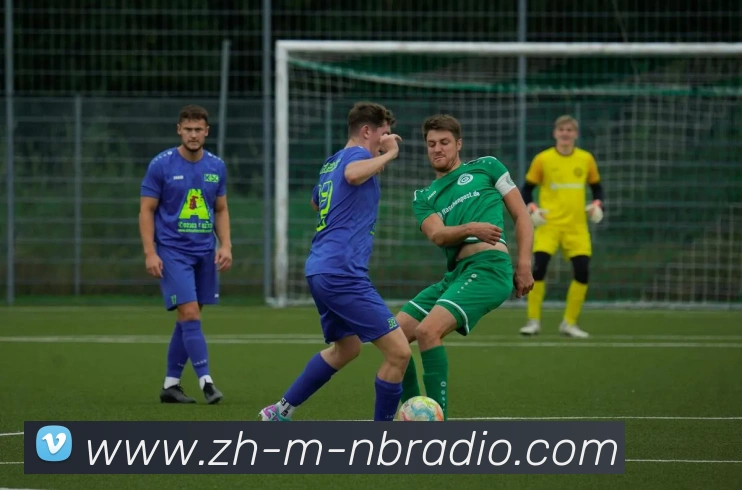 纬来体育APP 封面图